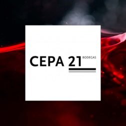 vino-Bodegas-cepa-21