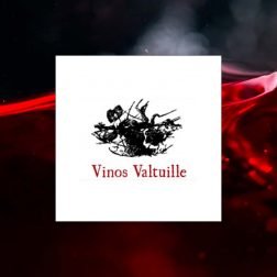 vino-Bodegas-valtuille