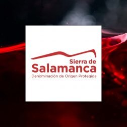 vino-salamanca